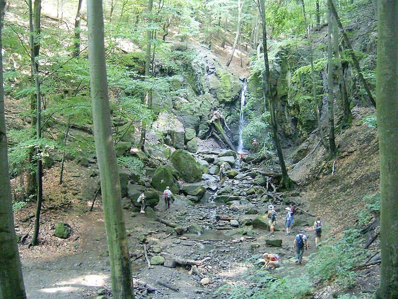 20100814 053.jpg